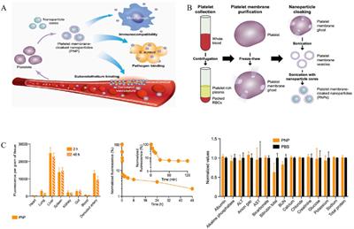 Recent nanoengineered therapeutic advancements in sepsis management